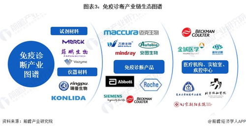 2023年中國(guó)免疫診斷行業(yè)全景圖譜 市場(chǎng)規(guī)模、競(jìng)爭(zhēng)格局與發(fā)展前景